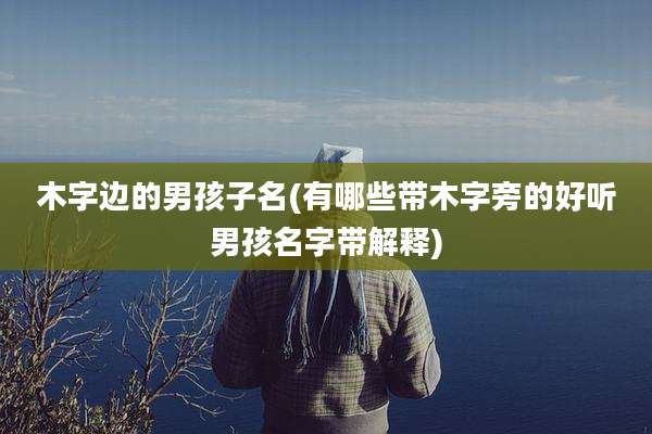 木字边的男孩子名(有哪些带木字旁的好听男孩名字带解释)