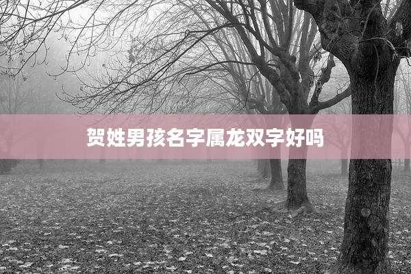 贺姓男孩名字属龙双字好吗