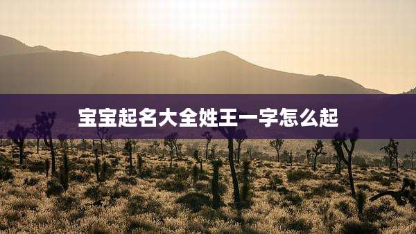 宝宝起名大全姓王一字怎么起