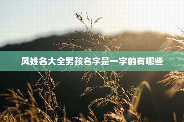 风姓名大全男孩名字是一字的有哪些
