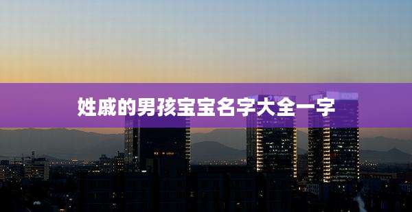 姓戚的男孩宝宝名字大全一字
