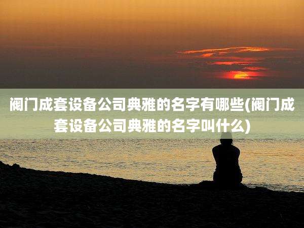 阀门成套设备公司典雅的名字有哪些(阀门成套设备公司典雅的名字叫什么)