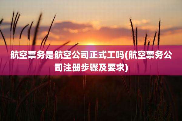 航空票务是航空公司正式工吗(航空票务公司注册步骤及要求)