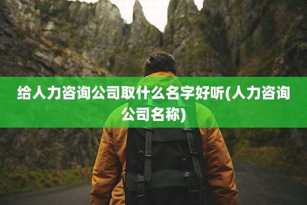 给人力咨询公司取什么名字好听(人力咨询公司名称)
