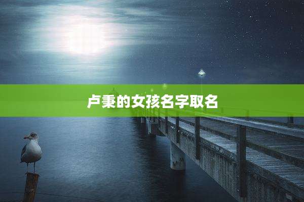 卢秉的女孩名字取名