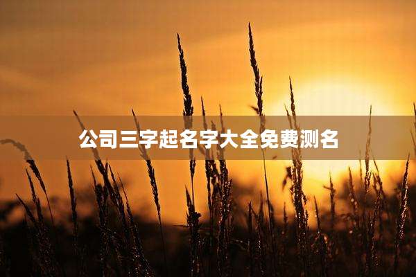 公司三字起名字大全免费测名