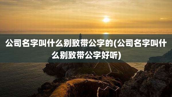 公司名字叫什么别致带公字的(公司名字叫什么别致带公字好听)