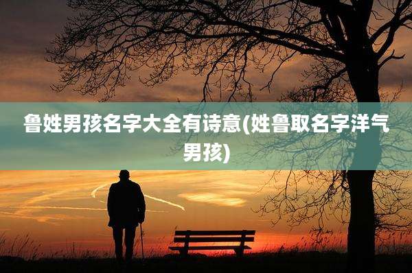 鲁姓男孩名字大全有诗意(姓鲁取名字洋气男孩)
