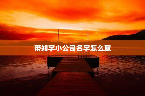 带知字小公司名字怎么取