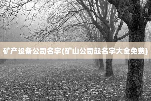 矿产设备公司名字(矿山公司起名字大全免费)