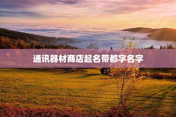 通讯器材商店起名带都字名字