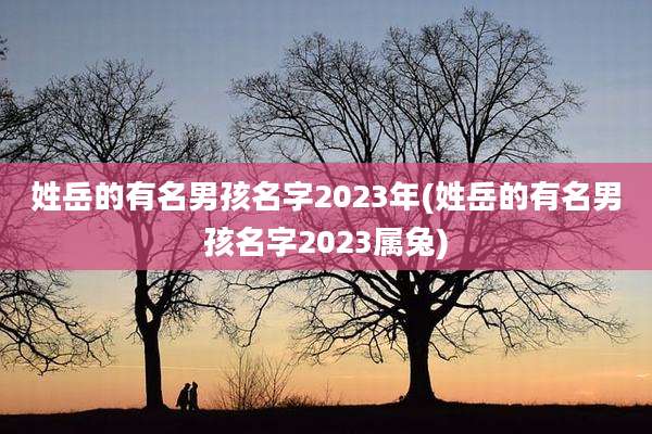 姓岳的有名男孩名字2023年(姓岳的有名男孩名字2023属兔)