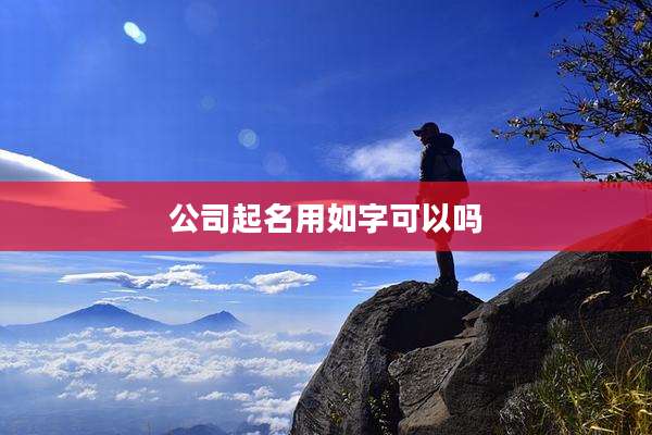 公司起名用如字可以吗