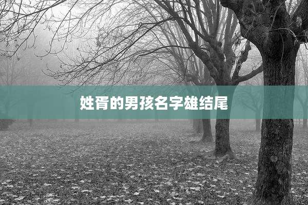 姓胥的男孩名字雄结尾