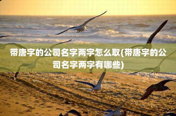 带唐字的公司名字两字怎么取(带唐字的公司名字两字有哪些)