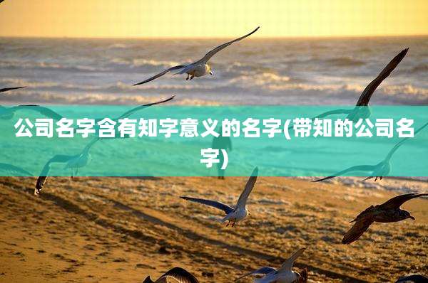 公司名字含有知字意义的名字(带知的公司名字)