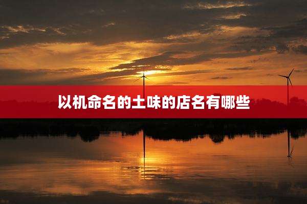 以机命名的土味的店名有哪些