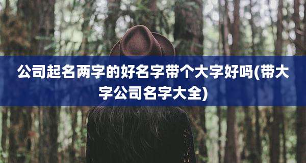 公司起名两字的好名字带个大字好吗(带大字公司名字大全)