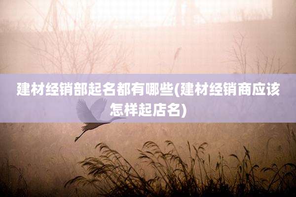 建材经销部起名都有哪些(建材经销商应该怎样起店名)