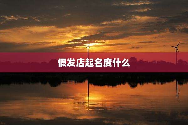 假发店起名度什么