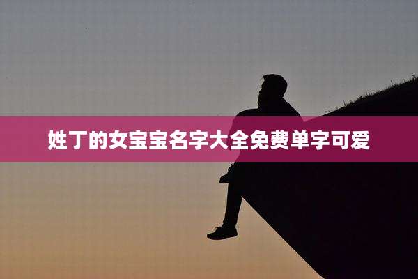 姓丁的女宝宝名字大全免费单字可爱