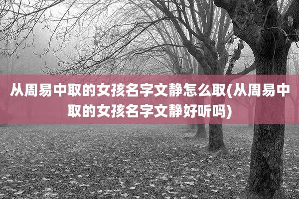 从周易中取的女孩名字文静怎么取(从周易中取的女孩名字文静好听吗)