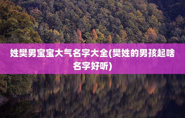 姓樊男宝宝大气名字大全(樊姓的男孩起啥名字好听)