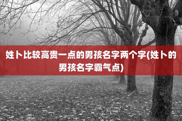 姓卜比较高贵一点的男孩名字两个字(姓卜的男孩名字霸气点)