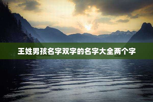 王姓男孩名字双字的名字大全两个字