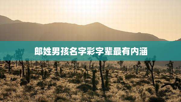 郎姓男孩名字彩字辈最有内涵