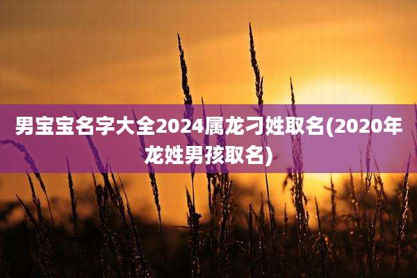 男宝宝名字大全2024属龙刁姓取名(2020年龙姓男孩取名)
