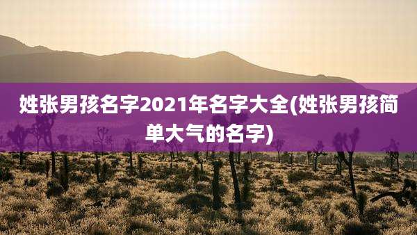 姓张男孩名字2021年名字大全(姓张男孩简单大气的名字)