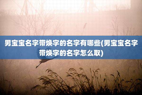 男宝宝名字带焕字的名字有哪些(男宝宝名字带焕字的名字怎么取)