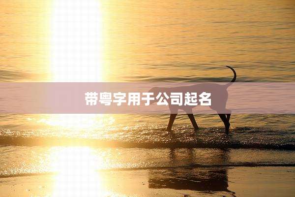 带粤字用于公司起名