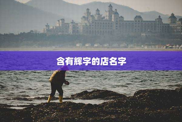含有辉字的店名字