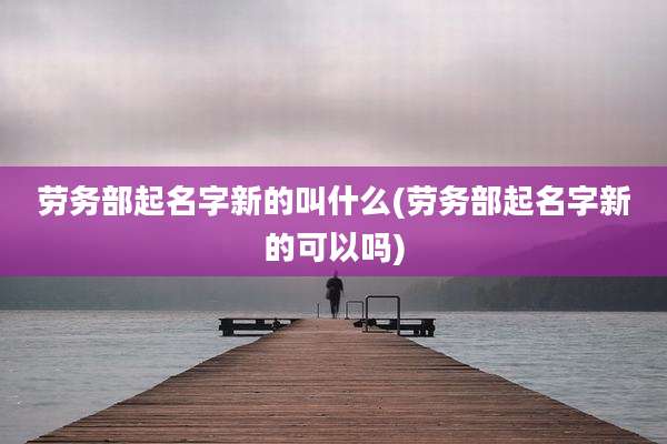 劳务部起名字新的叫什么(劳务部起名字新的可以吗)
