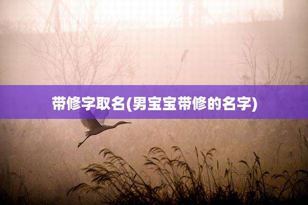 带修字取名(男宝宝带修的名字)