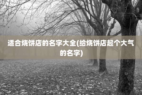 适合烧饼店的名字大全(给烧饼店起个大气的名字)