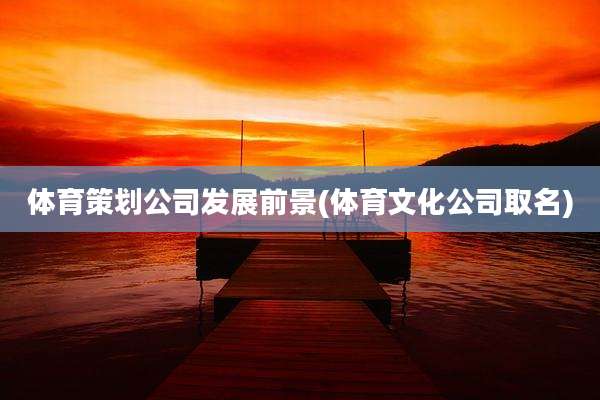 体育策划公司发展前景(体育文化公司取名)