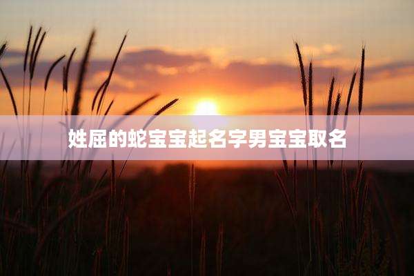 姓屈的蛇宝宝起名字男宝宝取名