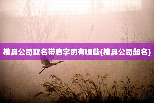 模具公司取名带启字的有哪些(模具公司起名)