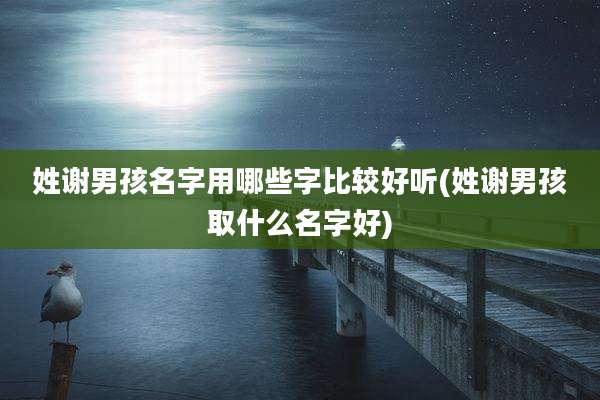 姓谢男孩名字用哪些字比较好听(姓谢男孩取什么名字好)