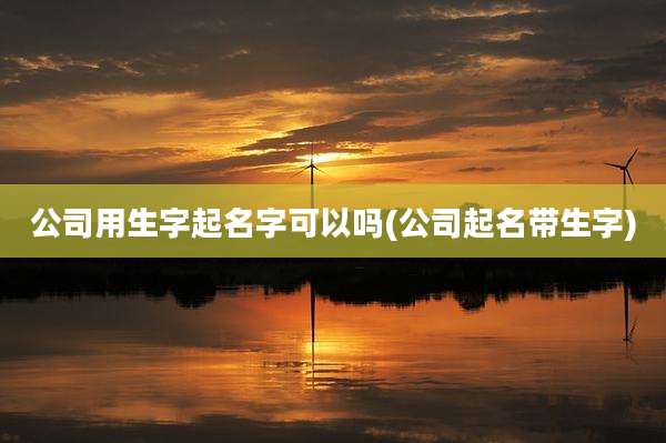 公司用生字起名字可以吗(公司起名带生字)