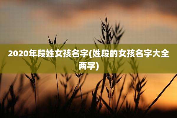 2020年段姓女孩名字(姓段的女孩名字大全两字)
