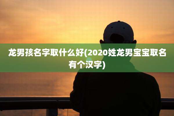 龙男孩名字取什么好(2020姓龙男宝宝取名有个汉字)