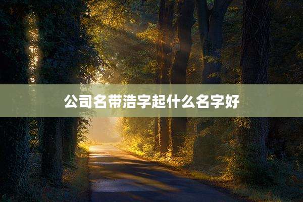 公司名带浩字起什么名字好