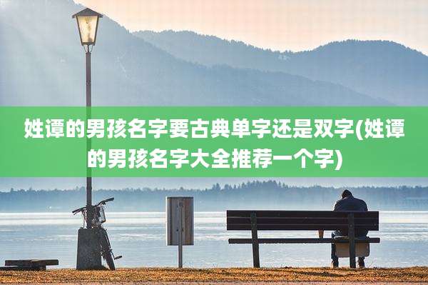 姓谭的男孩名字要古典单字还是双字(姓谭的男孩名字大全推荐一个字)