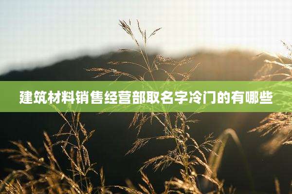 建筑材料销售经营部取名字冷门的有哪些