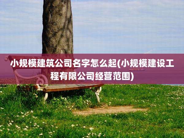 小规模建筑公司名字怎么起(小规模建设工程有限公司经营范围)