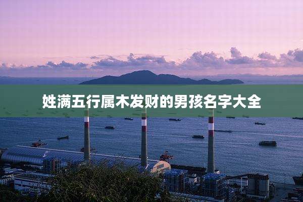 姓满五行属木发财的男孩名字大全